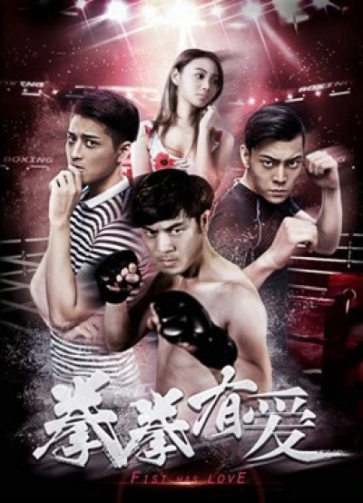 Yêu Boxer 2019